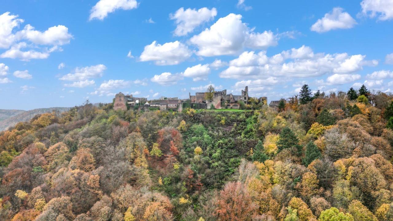 شقة Winetime - Fuer 3 - Naehe Madenburg - Burg Landeck Eschbach  المظهر الخارجي الصورة